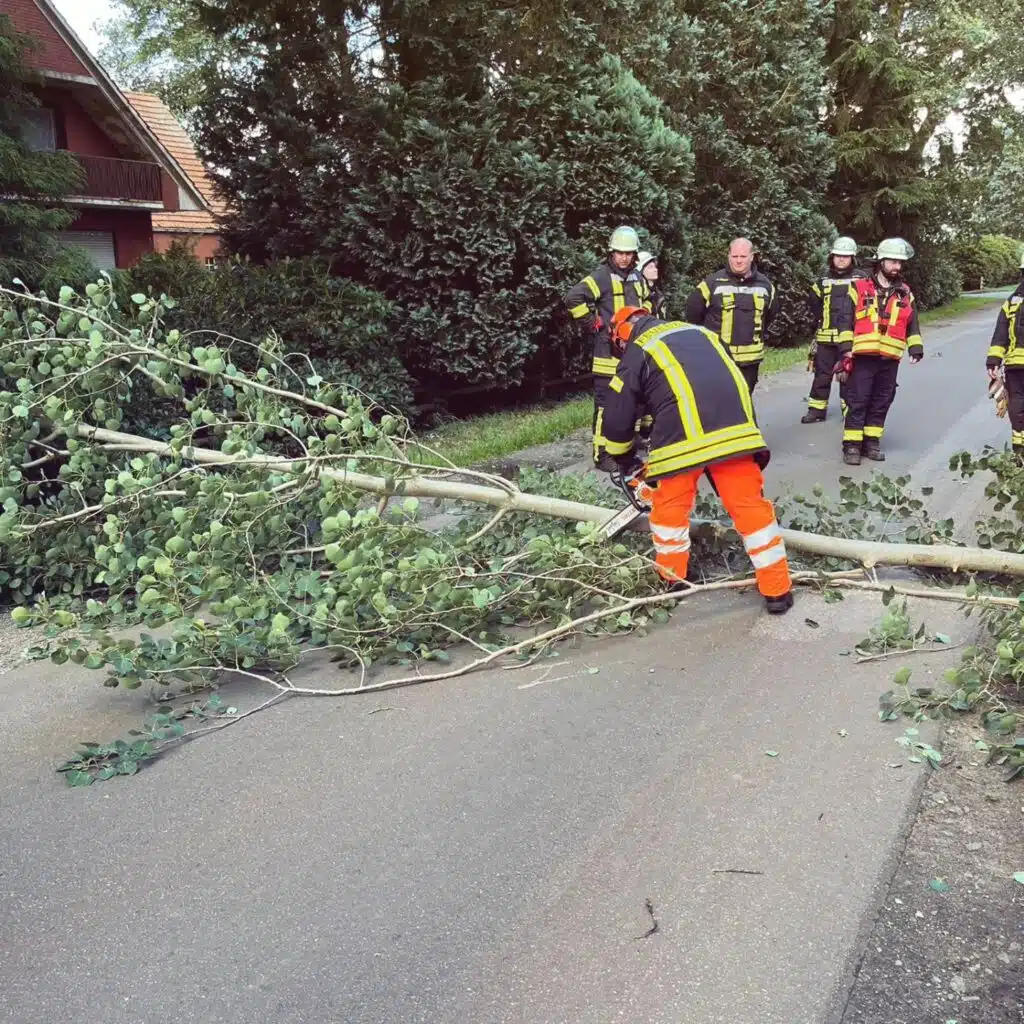 Feuerwehr mit Kettensäge an umgestürztem Baum